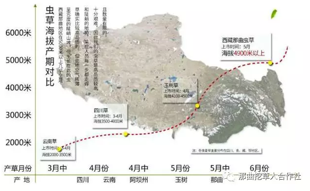 1552638252484968.png 5.png