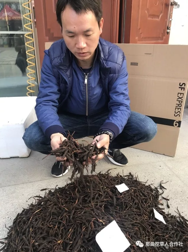 1552639135444131.png 3.png