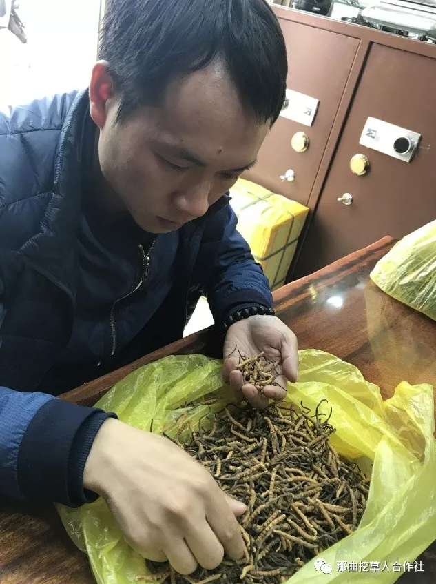 1552639181843423.png 7.png