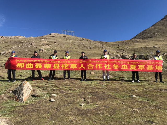 1554278914438235.png image.png